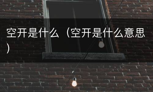 空开是什么（空开是什么意思）