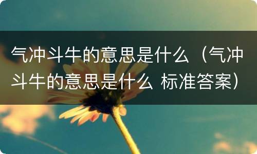 气冲斗牛的意思是什么（气冲斗牛的意思是什么 标准答案）