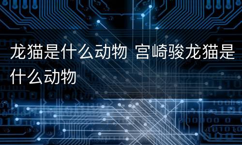 龙猫是什么动物 宫崎骏龙猫是什么动物