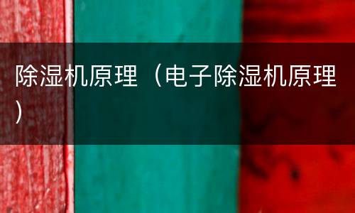 除湿机原理（电子除湿机原理）