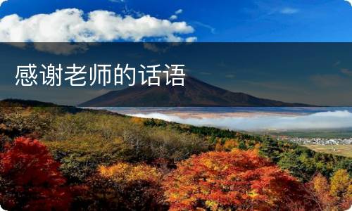 感谢老师的话语