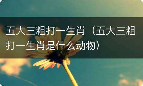 五大三粗打一生肖（五大三粗打一生肖是什么动物）