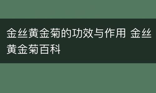 金丝黄金菊的功效与作用 金丝黄金菊百科