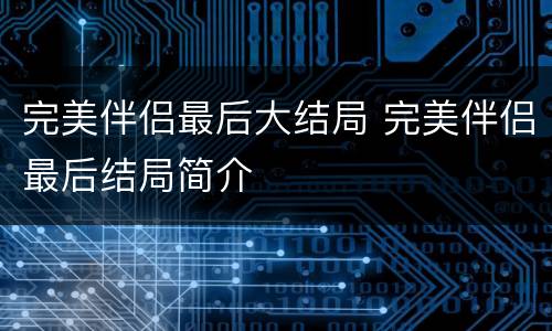 完美伴侣最后大结局 完美伴侣最后结局简介
