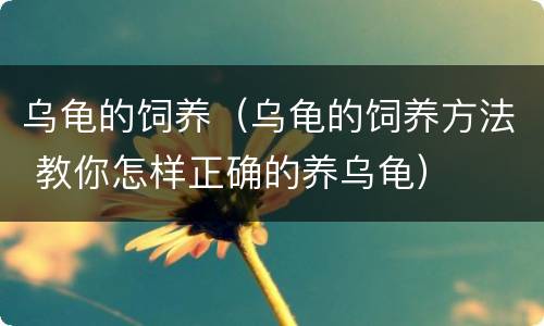 乌龟的饲养（乌龟的饲养方法 教你怎样正确的养乌龟）