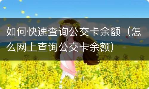 如何快速查询公交卡余额（怎么网上查询公交卡余额）