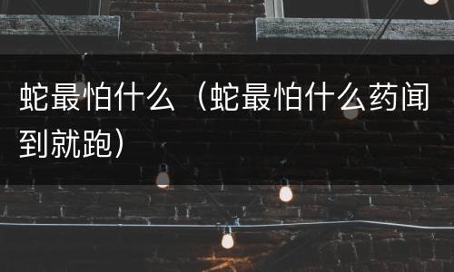 蛇最怕什么（蛇最怕什么药闻到就跑）