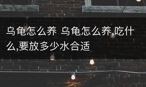 乌龟怎么养 乌龟怎么养,吃什么,要放多少水合适