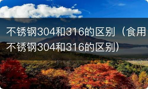 不锈钢304和316的区别（食用不锈钢304和316的区别）