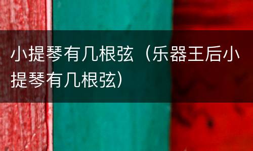 小提琴有几根弦（乐器王后小提琴有几根弦）