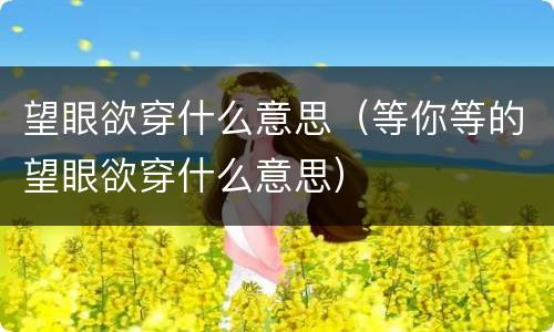 望眼欲穿什么意思（等你等的望眼欲穿什么意思）