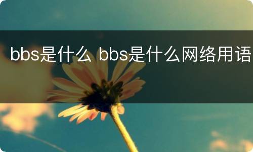 bbs是什么 bbs是什么网络用语