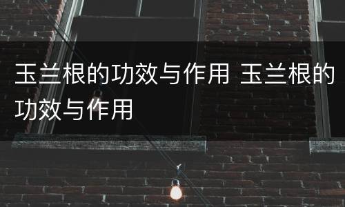 玉兰根的功效与作用 玉兰根的功效与作用
