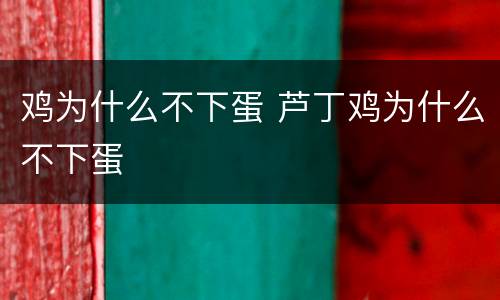 鸡为什么不下蛋 芦丁鸡为什么不下蛋