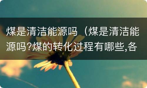 煤是清洁能源吗（煤是清洁能源吗?煤的转化过程有哪些,各有什么目的）
