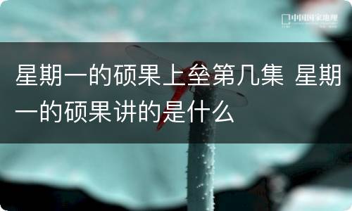 星期一的硕果上垒第几集 星期一的硕果讲的是什么