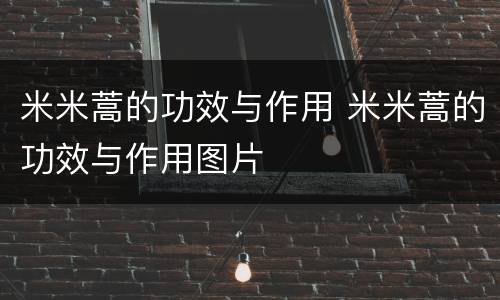 米米蒿的功效与作用 米米蒿的功效与作用图片