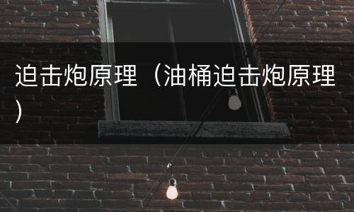 迫击炮原理（油桶迫击炮原理）
