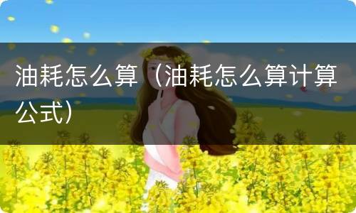 油耗怎么算（油耗怎么算计算公式）