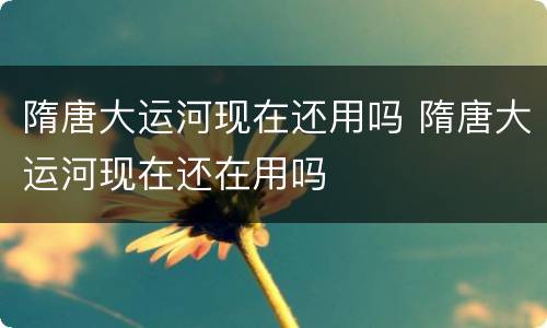 隋唐大运河现在还用吗 隋唐大运河现在还在用吗