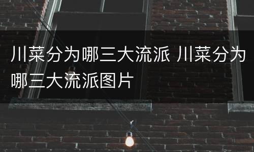 川菜分为哪三大流派 川菜分为哪三大流派图片