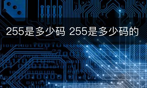 255是多少码 255是多少码的