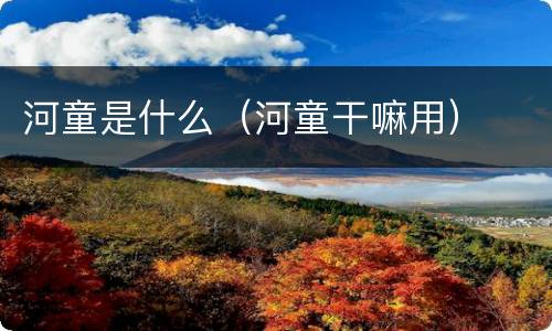 河童是什么（河童干嘛用）