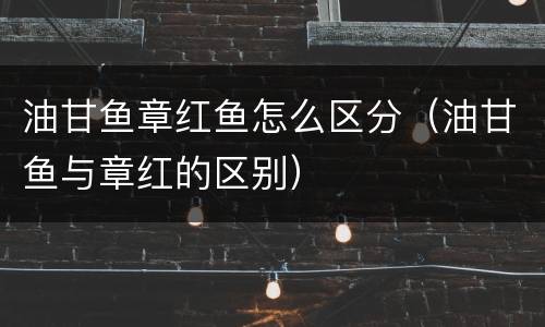 油甘鱼章红鱼怎么区分（油甘鱼与章红的区别）