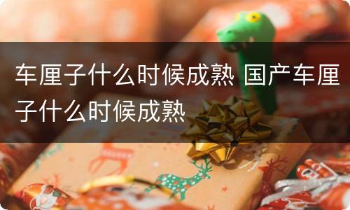 车厘子什么时候成熟 国产车厘子什么时候成熟