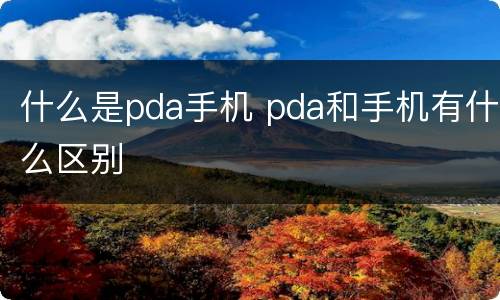 什么是pda手机 pda和手机有什么区别