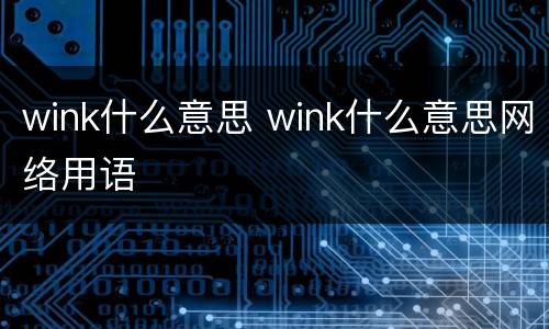 wink什么意思 wink什么意思网络用语