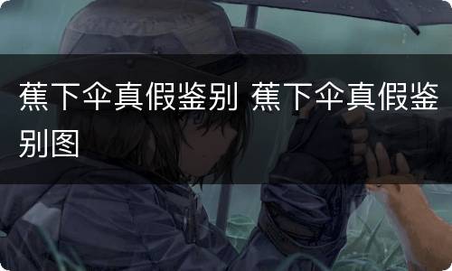 蕉下伞真假鉴别 蕉下伞真假鉴别图