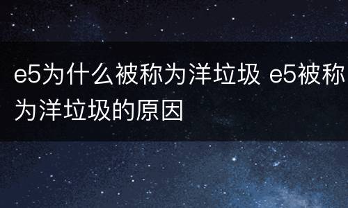 e5为什么被称为洋垃圾 e5被称为洋垃圾的原因
