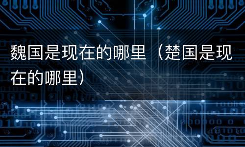 魏国是现在的哪里（楚国是现在的哪里）