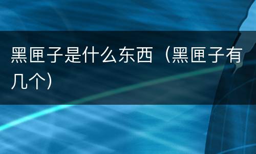 黑匣子是什么东西（黑匣子有几个）