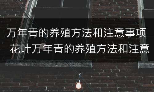 万年青的养殖方法和注意事项 花叶万年青的养殖方法和注意事项