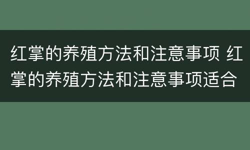 红掌的养殖方法和注意事项 红掌的养殖方法和注意事项适合放客厅吗