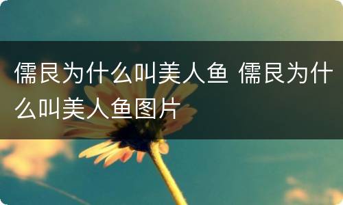 儒艮为什么叫美人鱼 儒艮为什么叫美人鱼图片