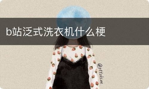 b站泛式洗衣机什么梗