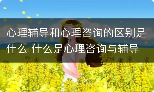心理辅导和心理咨询的区别是什么 什么是心理咨询与辅导