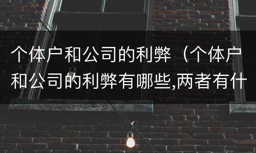 个体户和公司的利弊（个体户和公司的利弊有哪些,两者有什么区别）