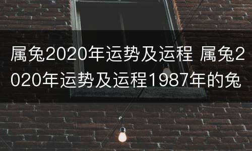属兔2020年运势及运程 属兔2020年运势及运程1987年的兔