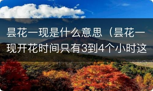 昙花一现是什么意思（昙花一现开花时间只有3到4个小时这是为了什么）