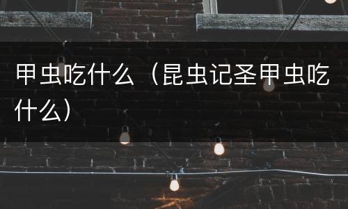 甲虫吃什么（昆虫记圣甲虫吃什么）
