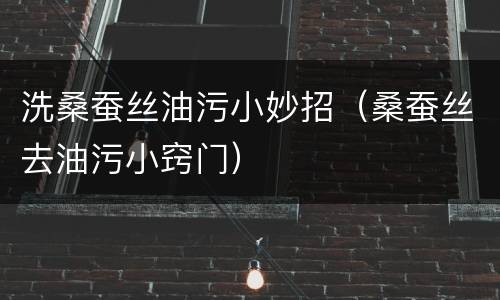 洗桑蚕丝油污小妙招（桑蚕丝去油污小窍门）