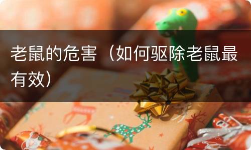 老鼠的危害（如何驱除老鼠最有效）