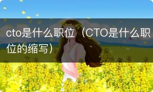 cto是什么职位（CTO是什么职位的缩写）