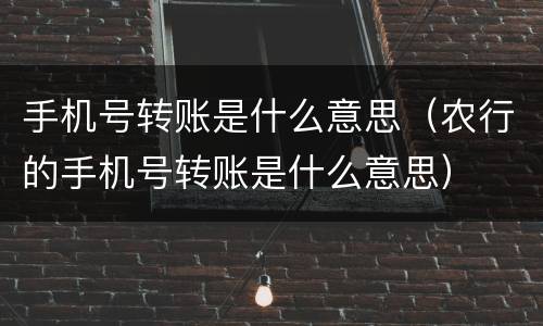 手机号转账是什么意思（农行的手机号转账是什么意思）
