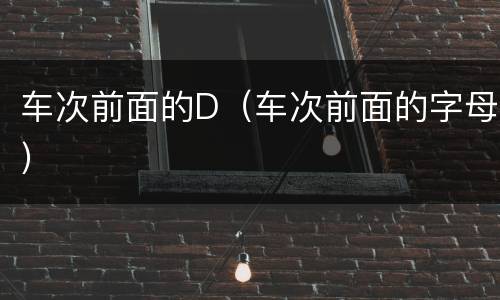 车次前面的D（车次前面的字母）