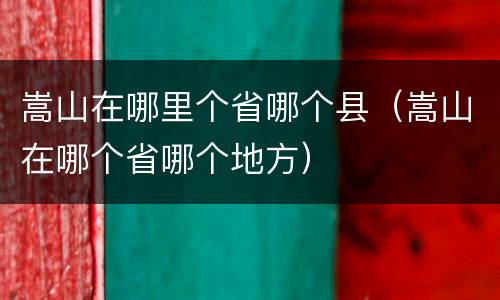 嵩山在哪里个省哪个县（嵩山在哪个省哪个地方）